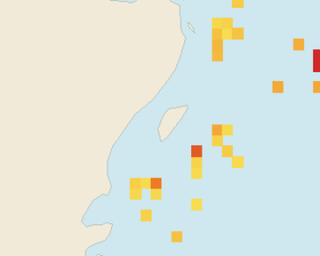 Satellite floating-algae map near Akumal, Aug 2021 (opens full map image in a new tab)