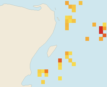 Satellite floating-algae map near Playa del Carmen, Aug 2021 (opens full map image in a new tab)