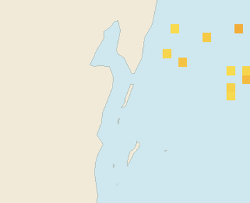 Satellite floating-algae map near Ambergris Caye, Sep 2021 (opens full map image in a new tab)