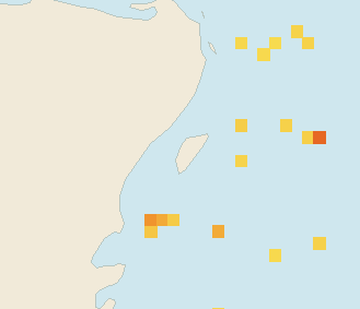 Satellite floating-algae map near Cozumel (west coast), Sep 2021 (opens full map image in a new tab)