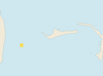 Satellite floating-algae map near Grand Bahama, Sep 2021 (opens full map image in a new tab)