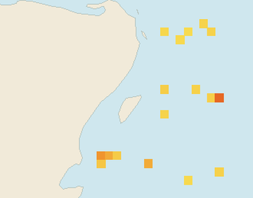 Satellite floating-algae map near Puerto Aventuras, Sep 2021 (opens full map image in a new tab)