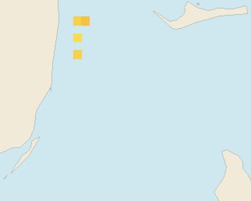 Satellite floating-algae map near Bimini, Oct 2021 (opens full map image in a new tab)