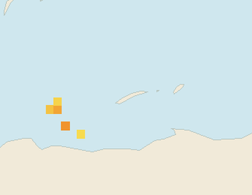 Satellite floating-algae map near Roatan, Oct 2021 (opens full map image in a new tab)
