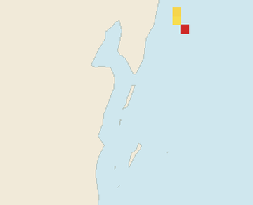 Satellite floating-algae map near Ambergris Caye, Nov 2021 (opens full map image in a new tab)