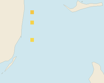 Satellite floating-algae map near Bimini, Nov 2021 (opens full map image in a new tab)