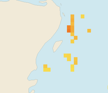 Satellite floating-algae map near Cozumel (west coast), Nov 2021 (opens full map image in a new tab)