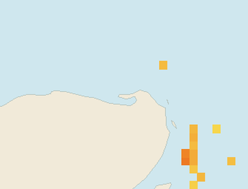 Satellite floating-algae map near Isla Holbox, Nov 2021 (opens full map image in a new tab)