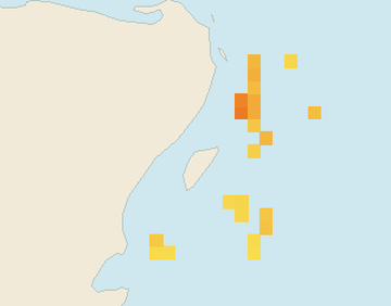 Satellite floating-algae map near Puerto Aventuras, Nov 2021 (opens full map image in a new tab)
