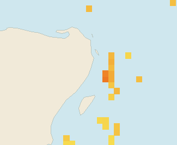 Satellite floating-algae map near Puerto Morelos, Nov 2021 (opens full map image in a new tab)