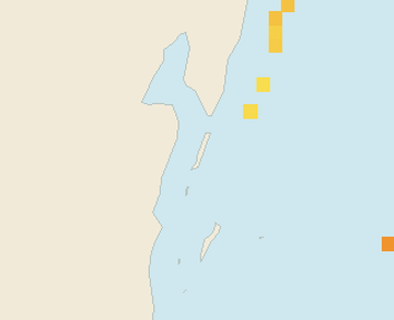 Satellite floating-algae map near Ambergris Caye, Dec 2021 (opens full map image in a new tab)
