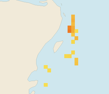 Satellite floating-algae map near Cozumel (west coast), Dec 2021 (opens full map image in a new tab)