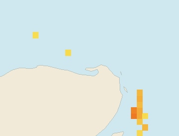 Satellite floating-algae map near Isla Holbox, Dec 2021 (opens full map image in a new tab)