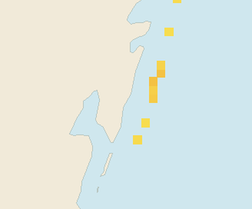 Satellite floating-algae map near Mahahual, Dec 2021 (opens full map image in a new tab)