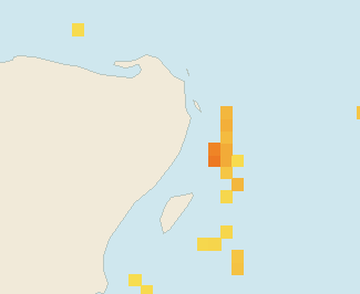 Satellite floating-algae map near Puerto Morelos, Dec 2021 (opens full map image in a new tab)