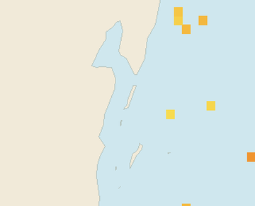 Satellite floating-algae map near Ambergris Caye, Jan 2022 (opens full map image in a new tab)