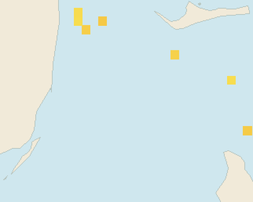 Satellite floating-algae map near Bimini, Jan 2022 (opens full map image in a new tab)