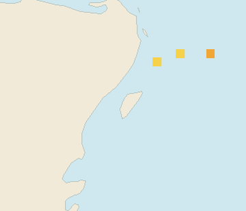 Satellite floating-algae map near Cozumel (west coast), Jan 2022 (opens full map image in a new tab)
