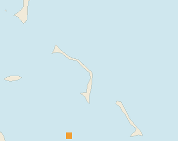 Satellite floating-algae map near Eleuthera, Jan 2022 (opens full map image in a new tab)