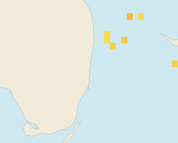 Satellite floating-algae map near Fort Lauderdale, Jan 2022 (opens full map image in a new tab)