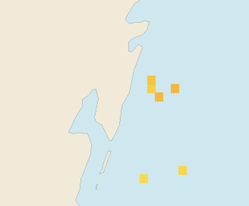 Satellite floating-algae map near Mahahual, Jan 2022 (opens full map image in a new tab)