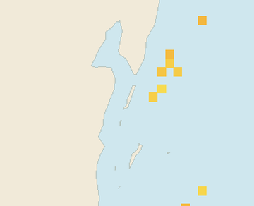Satellite floating-algae map near Ambergris Caye, Feb 2022 (opens full map image in a new tab)
