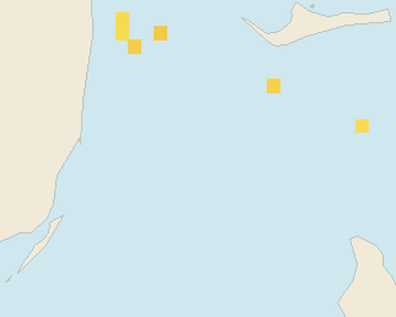 Satellite floating-algae map near Bimini, Feb 2022 (opens full map image in a new tab)