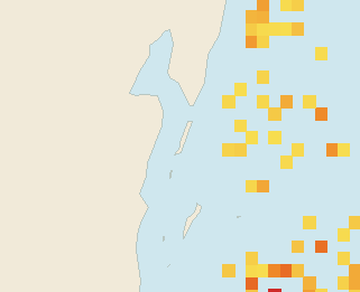 Satellite floating-algae map near Ambergris Caye, Apr 2022 (opens full map image in a new tab)