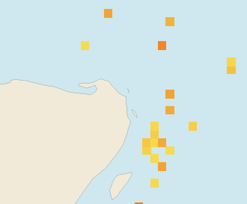 Satellite floating-algae map near Costa Mujeres, May 2022 (opens full map image in a new tab)