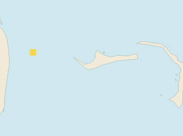 Satellite floating-algae map near Grand Bahama, May 2022 (opens full map image in a new tab)