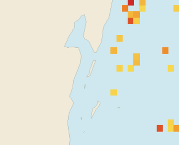 Satellite floating-algae map near Ambergris Caye, Jun 2022 (opens full map image in a new tab)