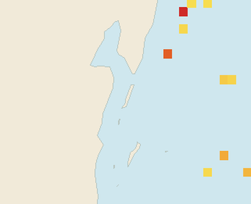 Satellite floating-algae map near Ambergris Caye, Aug 2022 (opens full map image in a new tab)