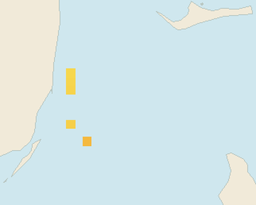 Satellite floating-algae map near Bimini, Aug 2022 (opens full map image in a new tab)