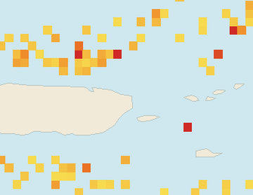 Satellite floating-algae map near Luquillo, Aug 2022 (opens full map image in a new tab)