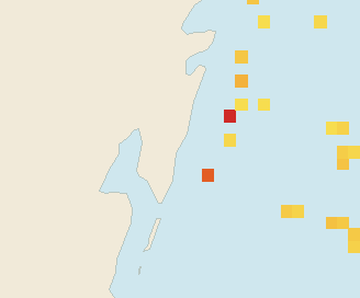 Satellite floating-algae map near Mahahual, Aug 2022 (opens full map image in a new tab)
