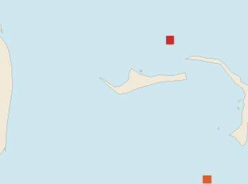 Satellite floating-algae map near Grand Bahama, Oct 2022 (opens full map image in a new tab)
