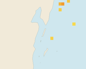 Satellite floating-algae map near Ambergris Caye, Jan 2023 (opens full map image in a new tab)