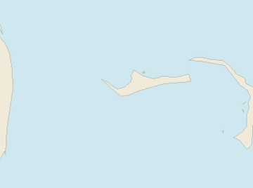 Satellite floating-algae map near Grand Bahama, Jan 2023 (opens full map image in a new tab)