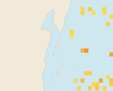 Satellite floating-algae map near Ambergris Caye, Feb 2023 (opens full map image in a new tab)