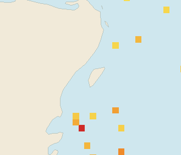Satellite floating-algae map near Cozumel (west coast), Feb 2023 (opens full map image in a new tab)