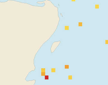 Satellite floating-algae map near Puerto Aventuras, Feb 2023 (opens full map image in a new tab)