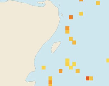 Satellite floating-algae map near Puerto Aventuras, Mar 2023 (opens full map image in a new tab)