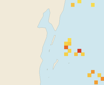 Satellite floating-algae map near Ambergris Caye, Apr 2023 (opens full map image in a new tab)