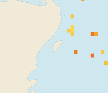 Satellite floating-algae map near Cozumel (west coast), Apr 2023 (opens full map image in a new tab)