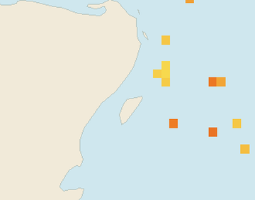 Satellite floating-algae map near Puerto Aventuras, Apr 2023 (opens full map image in a new tab)