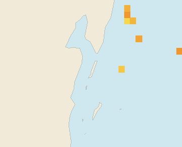 Satellite floating-algae map near Ambergris Caye, Jun 2023 (opens full map image in a new tab)
