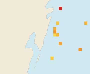Satellite floating-algae map near Mahahual, Jun 2023 (opens full map image in a new tab)