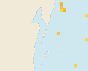Satellite floating-algae map near Ambergris Caye, Jul 2023 (opens full map image in a new tab)