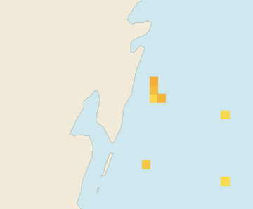 Satellite floating-algae map near Mahahual, Jul 2023 (opens full map image in a new tab)