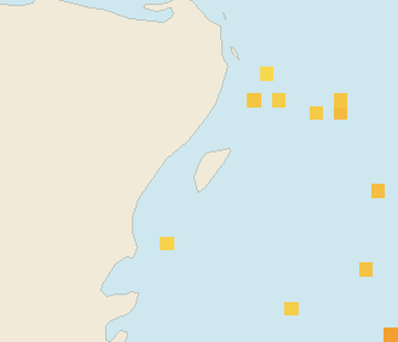 Satellite floating-algae map near Cozumel (west coast), Aug 2023 (opens full map image in a new tab)